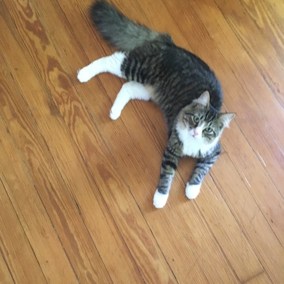 Meet your posher, Jen - Picture 3 of 4